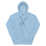 unisex-heavy-blend-hoodie-light-blue-front-6832b2bd54f40.jpg