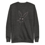 unisex-premium-sweatshirt-charcoal-heather-front-6844a775df3c4.jpg